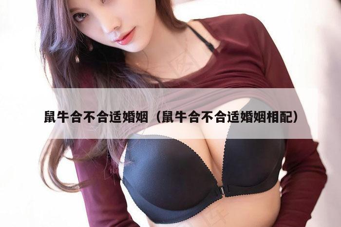 鼠牛合不合适婚姻（鼠牛合不合适婚姻相配）